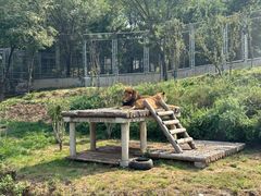 -石家庄市动物园