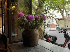 -Apollo·西班牙小酒馆(安福路店)