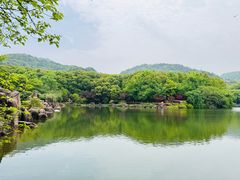 -白马涧龙池景区