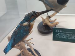 -陕西科学技术馆