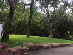 -晓港公园