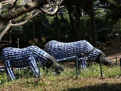 -青青世界