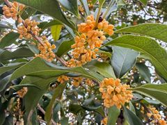 -苏州河梦清园环保主题公园