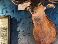 -星光苏糖音乐餐吧(苏州湾店)