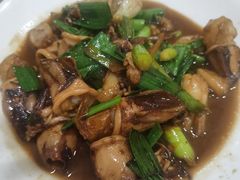 红烧鱿鱼-红灯笼龙凤饭店(宁波老字号店)