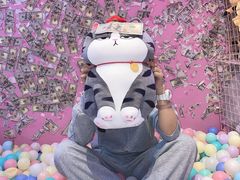 -BIG PINK大粉娃娃机主题馆(圆融星座店)
