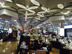 -贾特拉帕蒂·希瓦吉国际机场