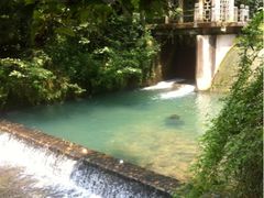 iphone_upload_pic-九溪烟树