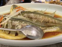 -前海沿·青岛菜(乐客城店)