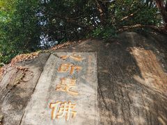 -南普陀寺