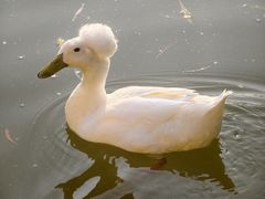 -苏州河梦清园环保主题公园