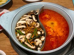 -青瓷火锅料理(西单大悦城店)