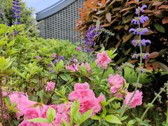 -武汉园博园(武汉自然博物馆)