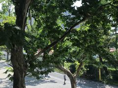 -御花园·粤菜·海鲜火锅(中山公园店)