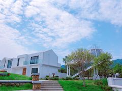-龙坞茶村