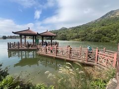 -大姆山草场