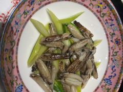 -新光酒家·河豚·海鲜·蟹料理(浦东店)