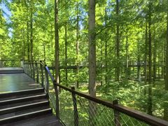 -黄海国家森林公园