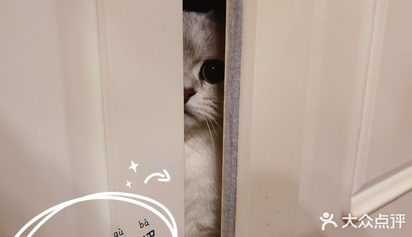 泡泡糖的日常——禁闭篇