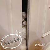 泡泡糖的日常——禁闭篇
