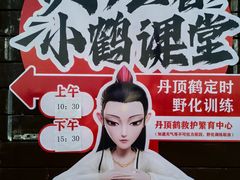 -盐城丹顶鹤湿地生态旅游区