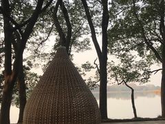 -东湖落雁景区
