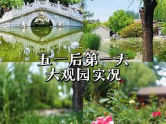 -北京大观园