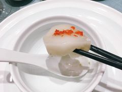 桂花拉糕-久宴·天目湖大鱼头(恐龙园店)