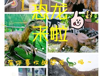 恐龙来啦，有你最喜欢的恐龙吗～