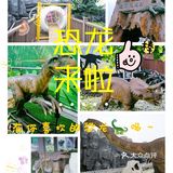 恐龙🦕来啦，有你最喜欢的恐龙🦖吗～