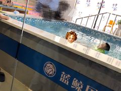 -蓝鲸国际少儿游泳训练中心(群力店)