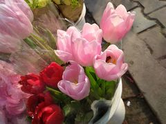 -三圣花乡旅游区