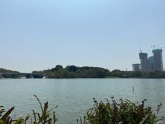 -华侨城湿地公园