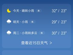 糖醋小排-新华医院-食堂