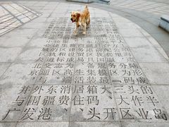 -东疆建设开发纪念公园