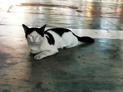 -ခြောက်ထပ်ကြီးရွှေသာလျောင်းဘုရားကြီး