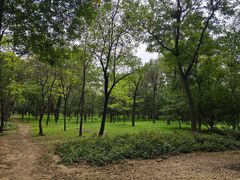 -森林公园(尖草坪区)