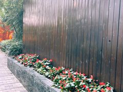 -静安公园(静安寺街道)