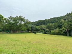-深圳野生动物园