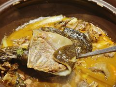 甲鱼裙边炖牛鞭-王捌小院(红花坡店)