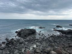 -涉地可支