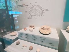-湖南省地质博物馆