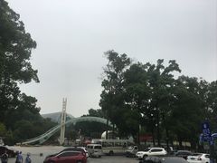 -南山植物园