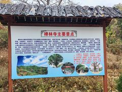 -遵化市禅林寺古银杏风景园