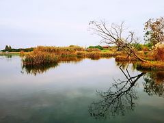 -良渚古城遗址公园