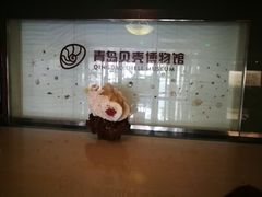 -青岛贝壳博物馆
