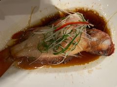 -嘉美轩·精细潮州菜·商务宴请(惠州佳兆业铂尔曼酒店)