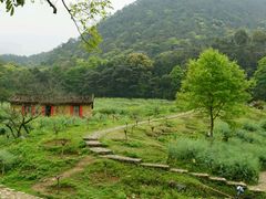 -广州市石门国家森林公园