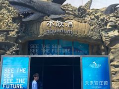 -秦皇岛乐岛海洋王国