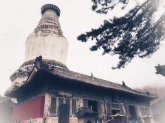 -盛德圆(五台山云龙店)